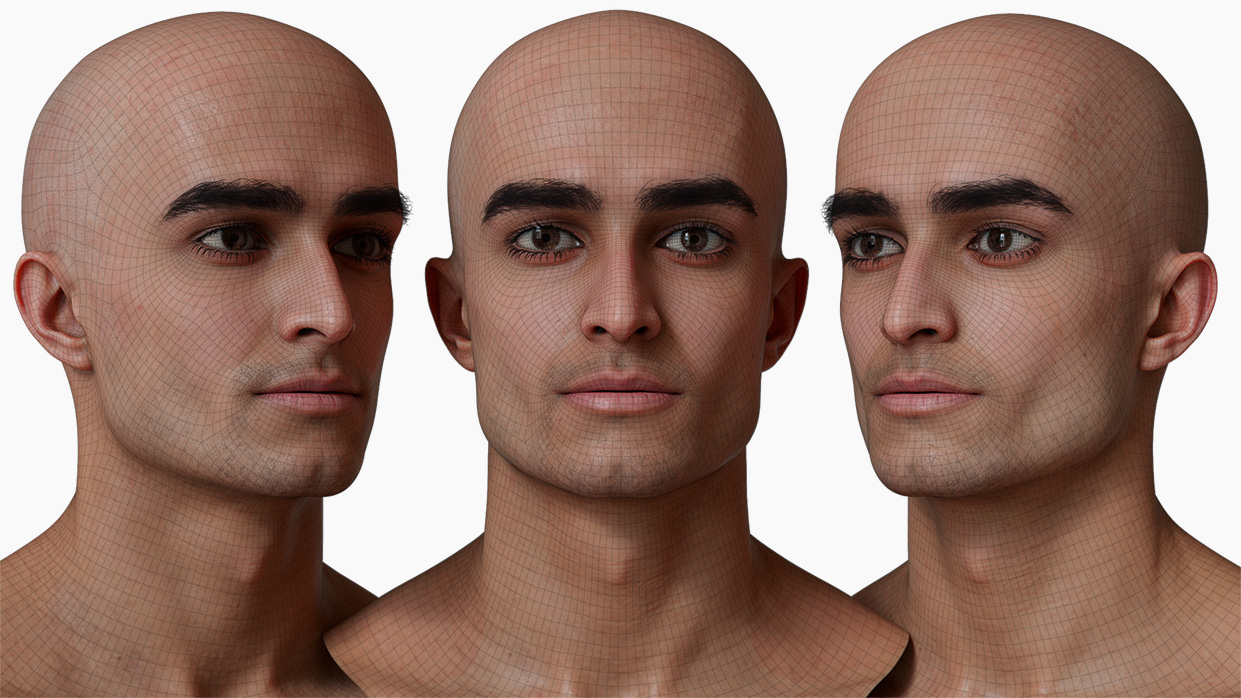 head model wireframe mesh